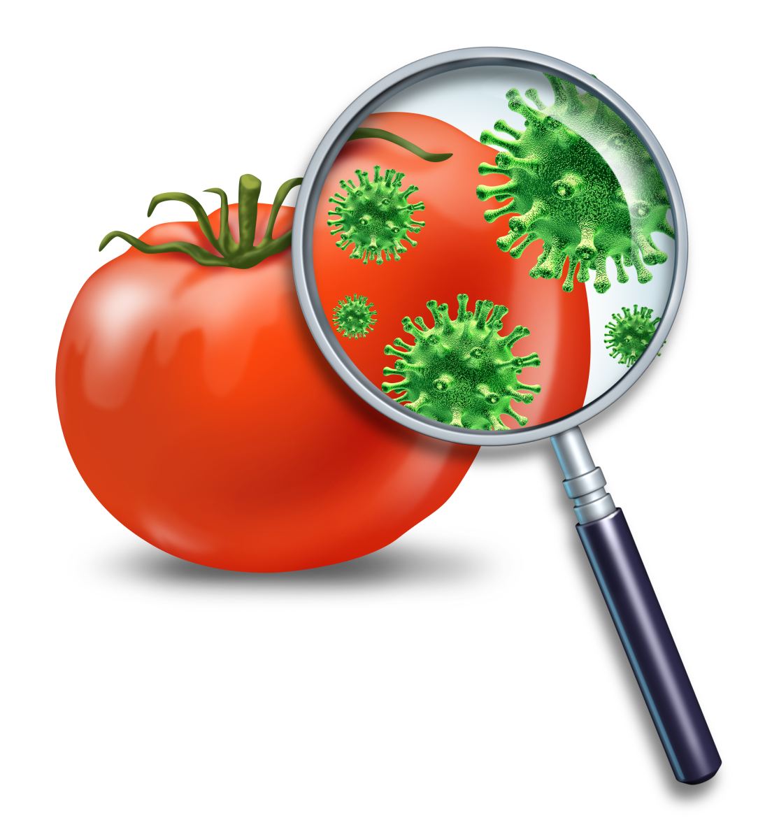 ПИЩЕВЫЕ ИНФЕКЦИИ